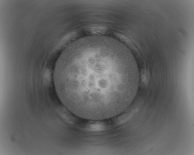 X0000115580667200911101149