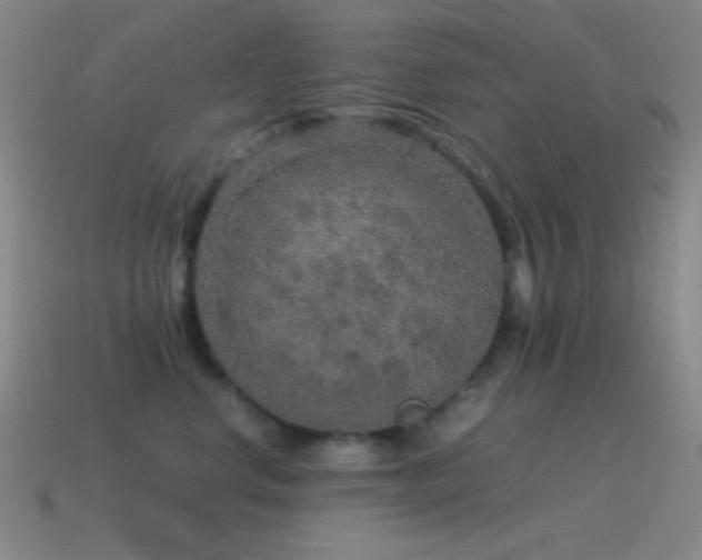 X0000115580668200911101149