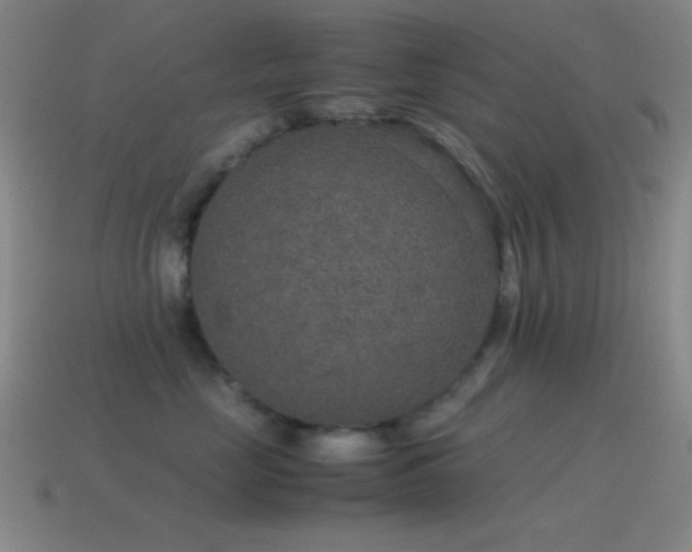 X0000115580669200911101149