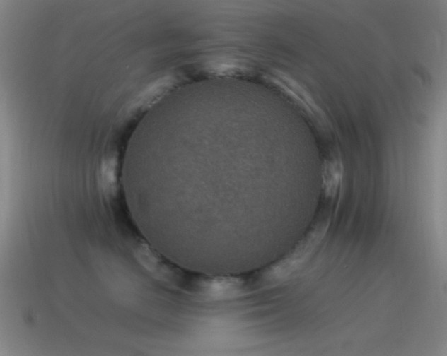 X0000115580670200911101149