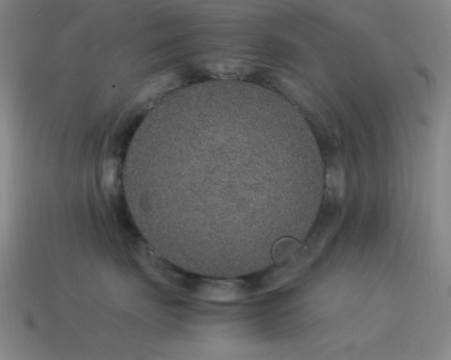 X0000115580671200911101149