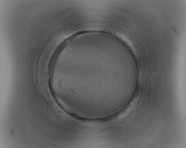 X0000115580673200911101148