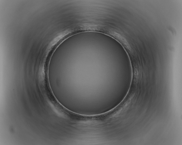 X0000115580674200911101148