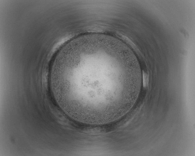 X0000115580675200911101148