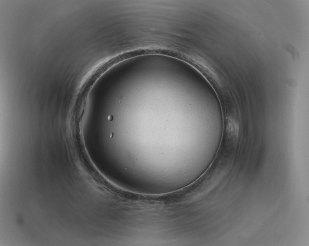 X0000115580676200911101148