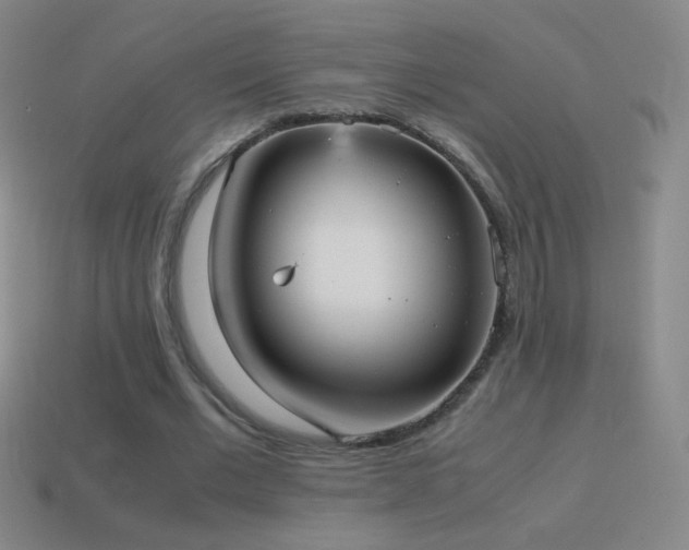 X0000115580677200911101148