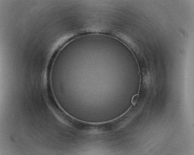 X0000115580678200911101148