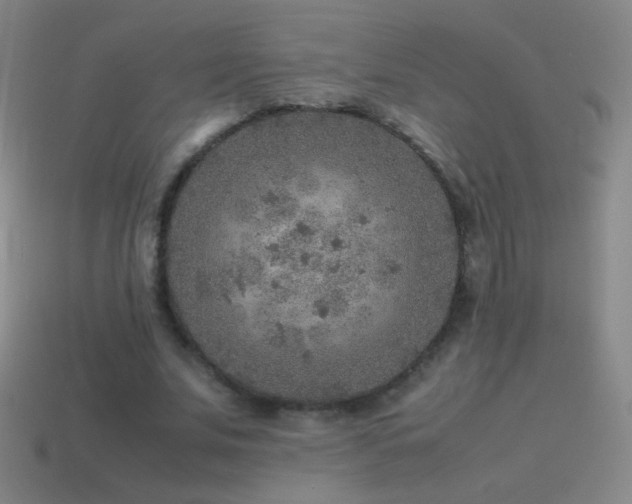 X0000115580679200911101148