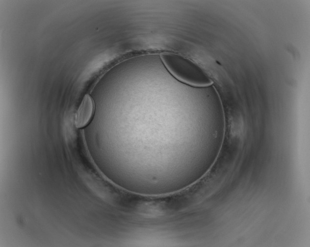 X0000115580680200911101148