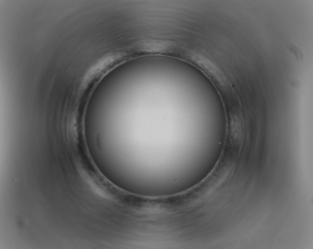 X0000115580682200911101148