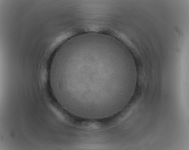 X0000115580683200911101148