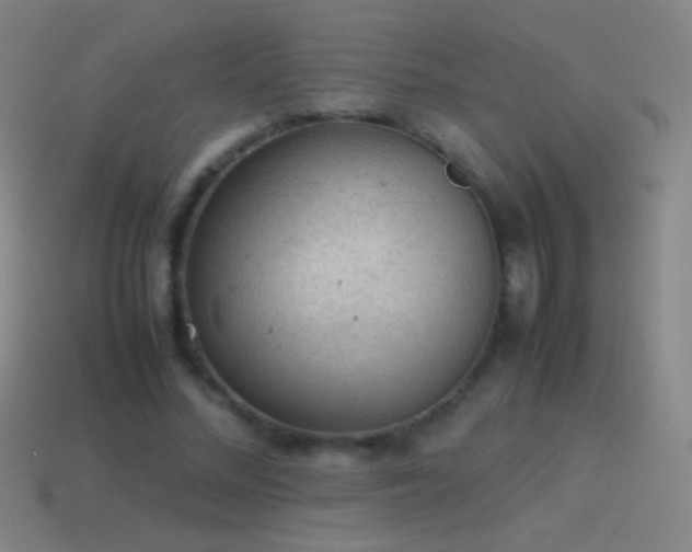 X0000115580684200911101148