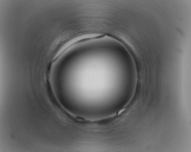 X0000115580685200911101148