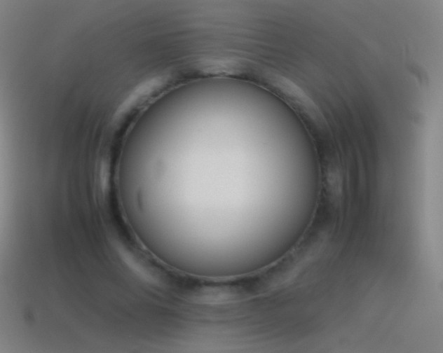 X0000115580686200911101148