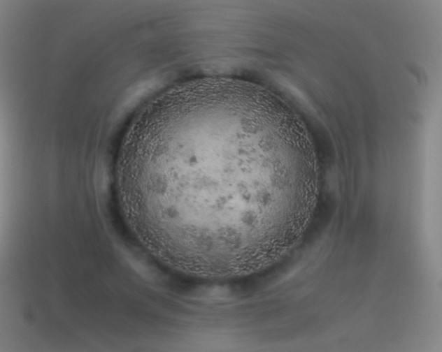 X0000115580687200911101148