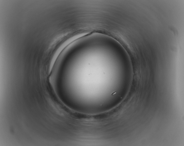 X0000115580688200911101148