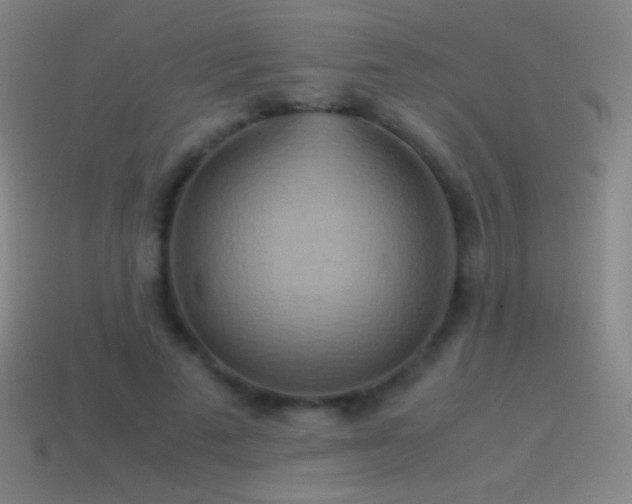 X0000115580689200911101148