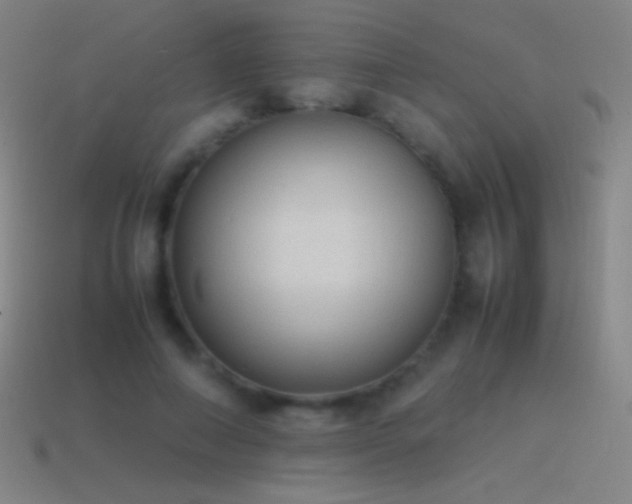 X0000115580690200911101148