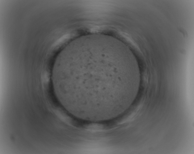 X0000115580691200911101148