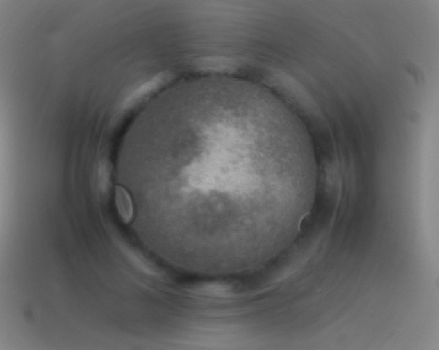 X0000115580692200911101148