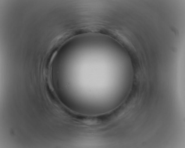 X0000115580693200911101148