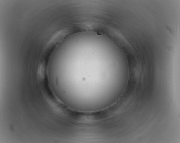 X0000115580694200911101148