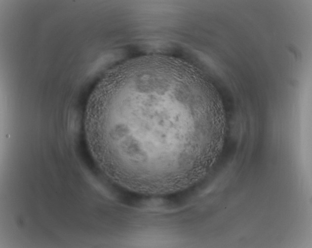 X0000115580695200911101148