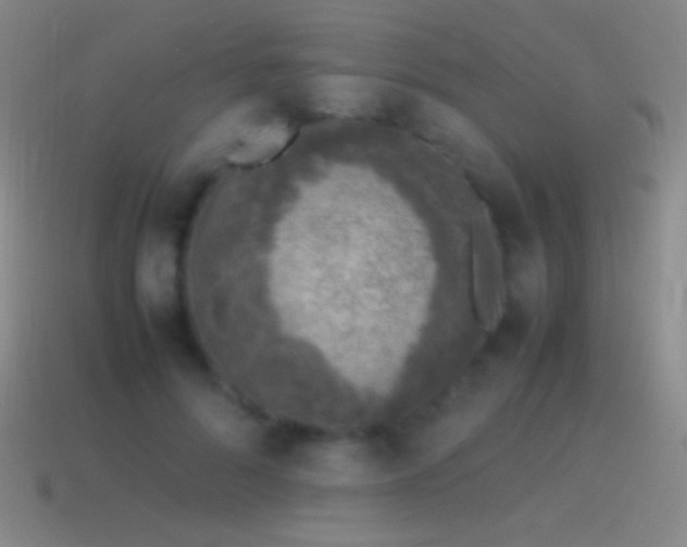 X0000115580696200911101148