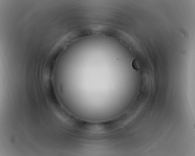 X0000115580698200911101148