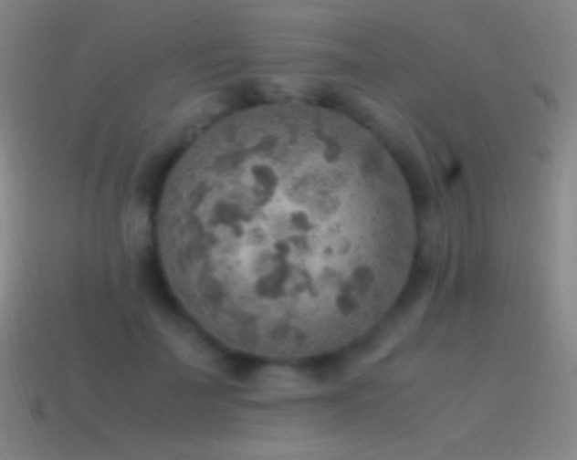 X0000115580699200911101148