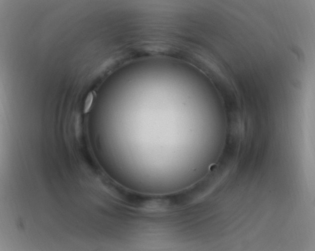 X0000115580700200911101148