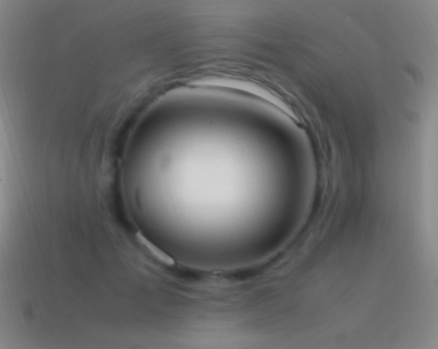 X0000115580701200911101148