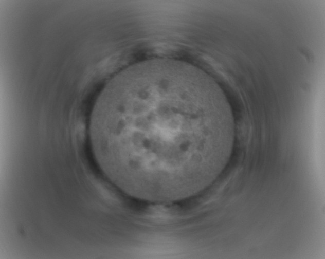 X0000115580703200911101148