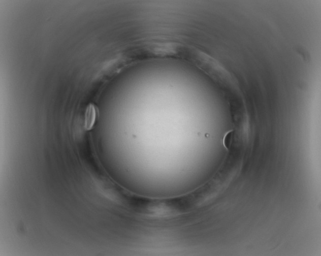 X0000115580704200911101148