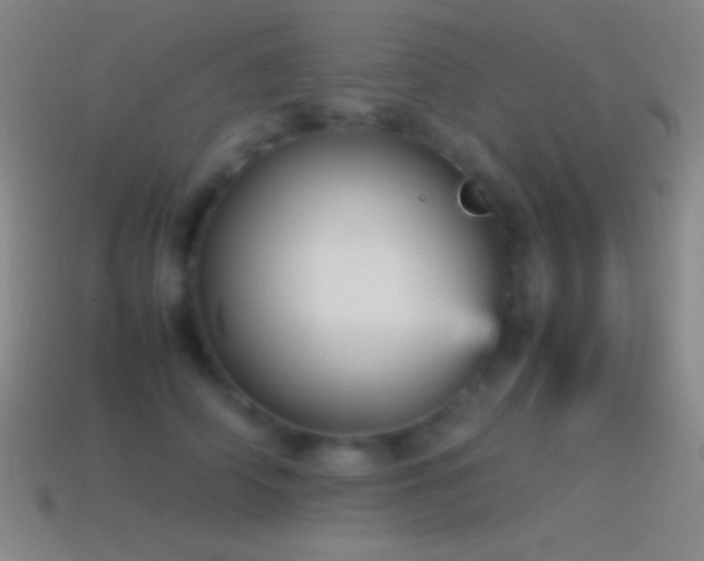 X0000115580706200911101148