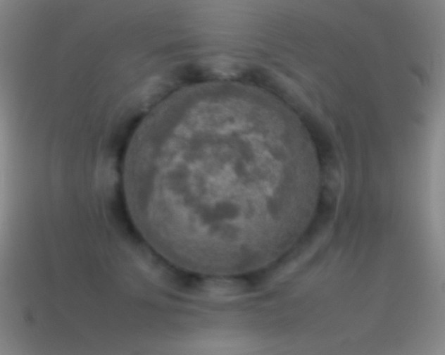 X0000115580707200911101148