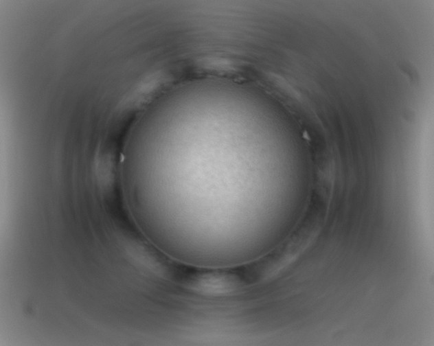 X0000115580708200911101148