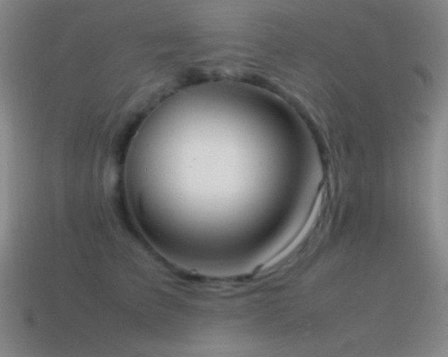 X0000115580709200911101148