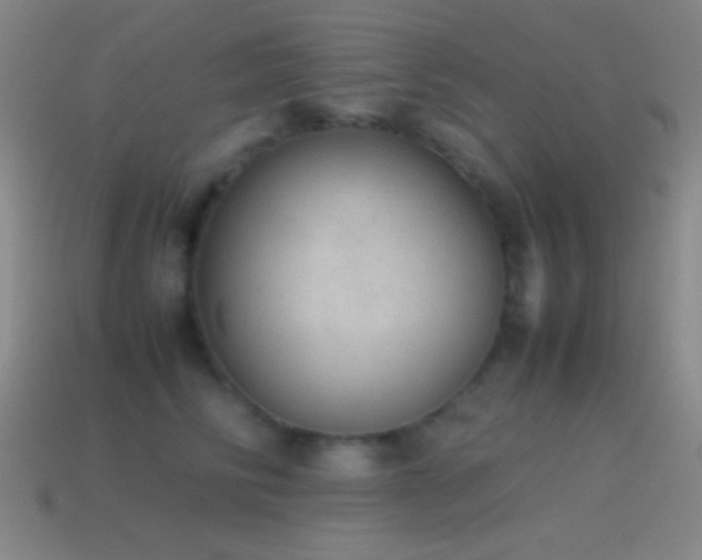 X0000115580710200911101148