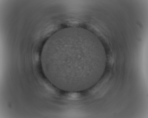 X0000115580711200911101148