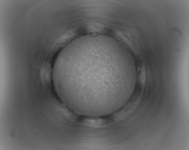 X0000115580712200911101148