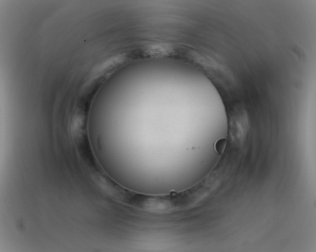 X0000115580714200911101148