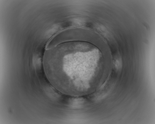 X0000115580716200911101148