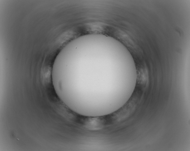 X0000115580717200911101148