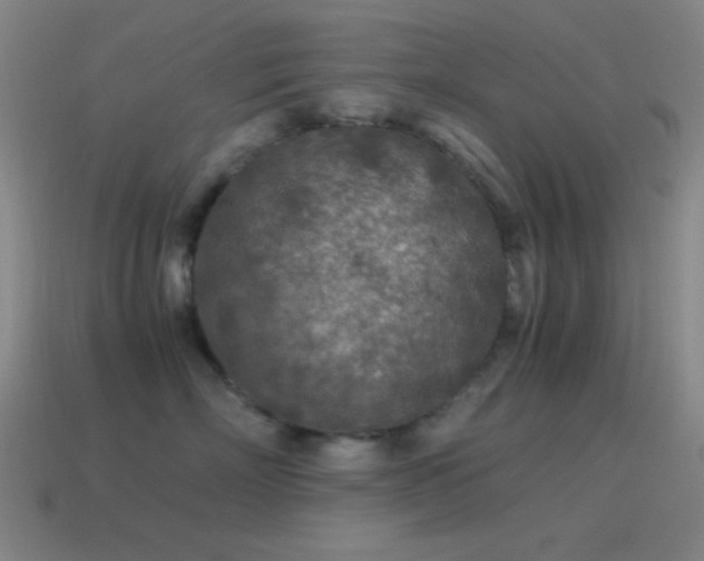 X0000115580718200911101148