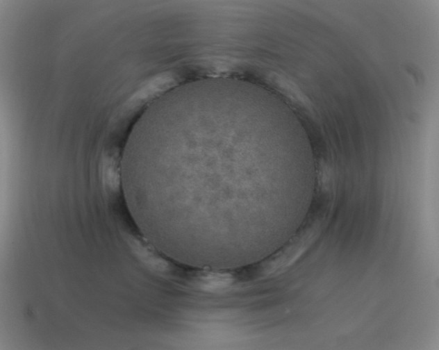 X0000115580719200911101148