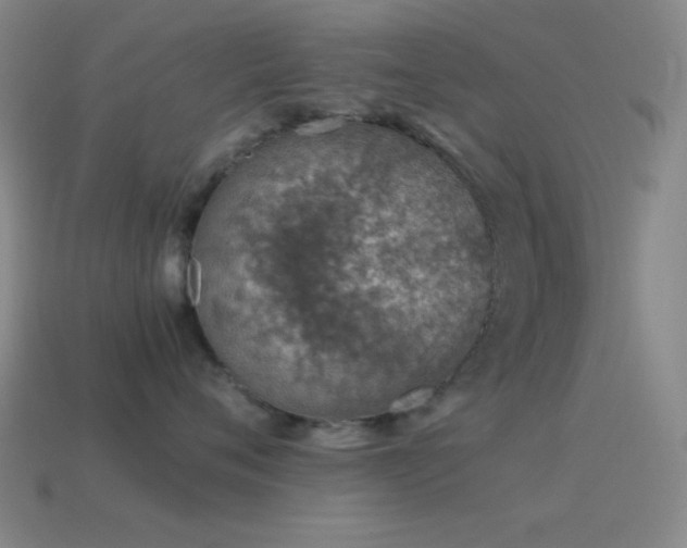 X0000115580720200911101148