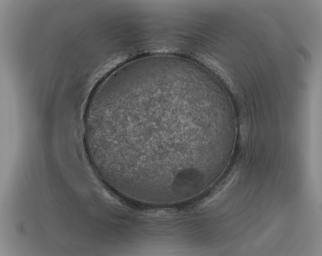 X0000115580721200911101147