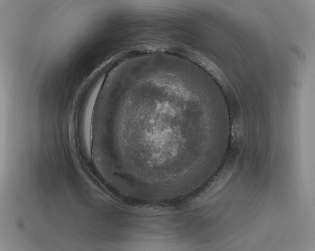 X0000115580722200911101147