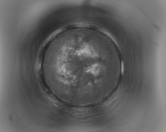 X0000115580723200911101147